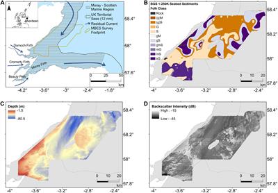 Sounding Out the Carbon: The Potential of Acoustic Backscatter Data to Yield Improved Spatial Predictions of Organic Carbon in Marine Sediments